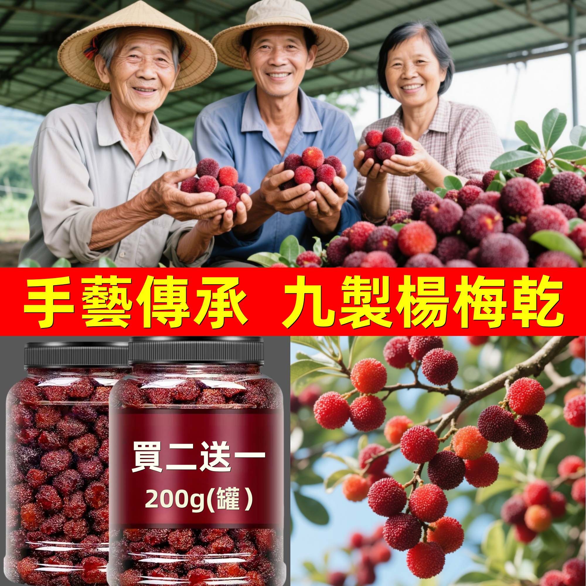 九製楊梅乾